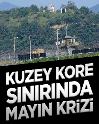 Kuzey Kore sınırında mayın krizi!