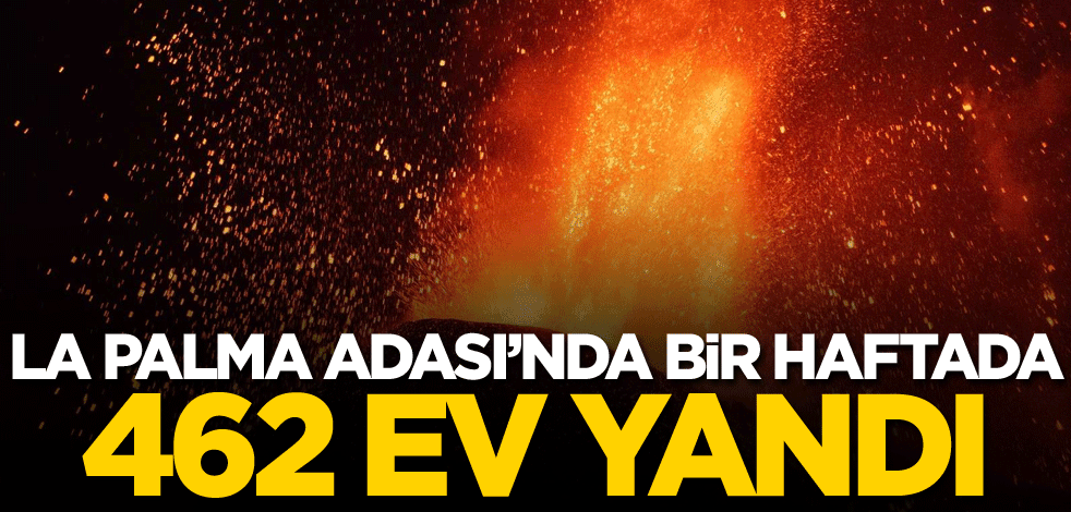La Palma Adası'nda bir haftada 462 ev yandı