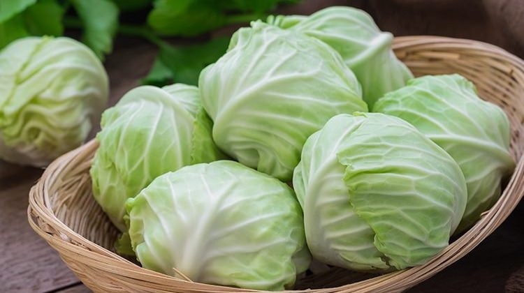 Lahananın faydaları neler? Lahana neye iyi gelir?