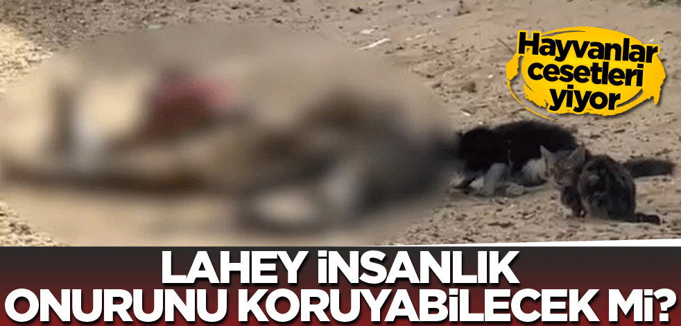 Lahey, insanlık onurunu koruyabilecek mi?