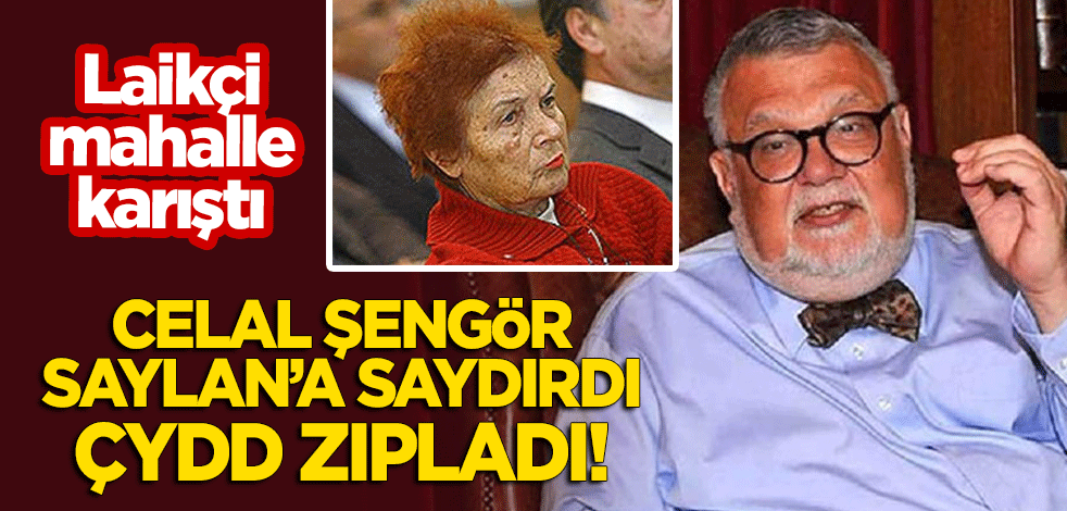 Laikçi mahalle karıştı! Celal Şengör, Türkan Saylan'a saydırdı, ÇYDD zıpladı