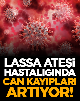 Lassa ateşi hastalığında can kayıpları artıyor!