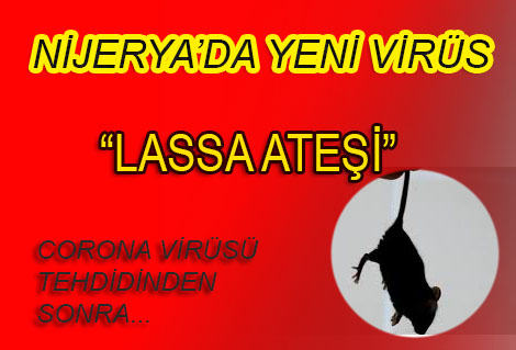 Lassa Ateşi Nedir? Lassa Ateşi Belirtileri Nelerdir?