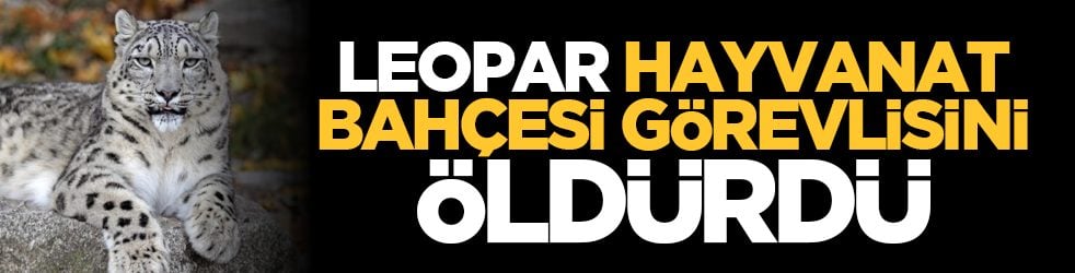 Leopar hayvanat bahçesi görevlisini öldürdü