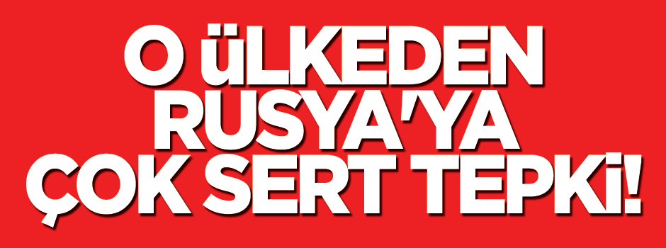 Letonya'dan Rusya'ya kınama Türkiye'ye destek