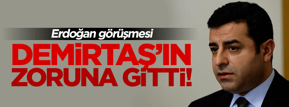 Leyla Zana görüşmesi Demirtaş'ın zoruna gitti!