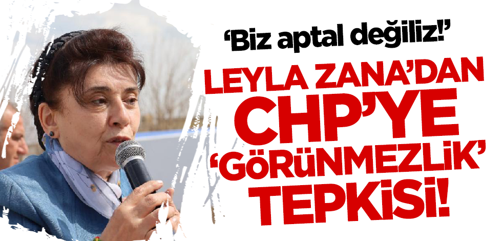Leyla Zana'dan CHP'ye 'görünmezlik' tepkisi: Biz aptal değiliz!