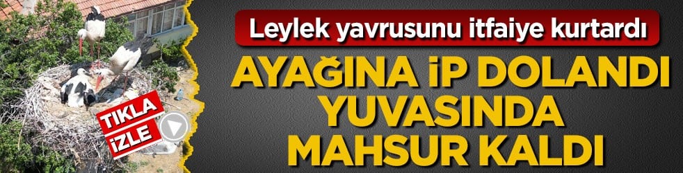 Leylek yavrusunu itfaiye kurtardı! Ayağına ip dolandı, yuvasında mahsur kaldı