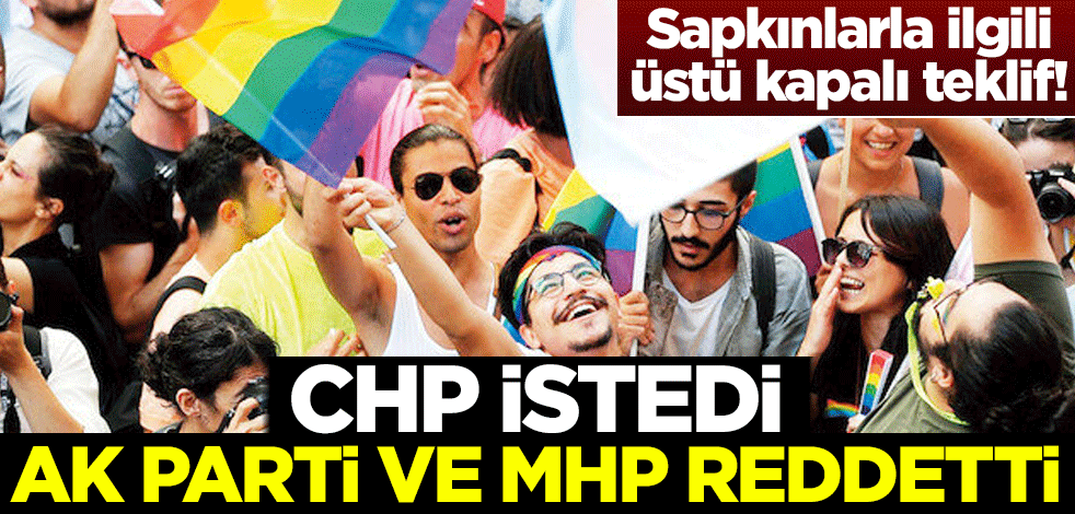 LGBT'li sapkınlar için üstü kapalı teklif! CHP istedi, AK Parti ve MHP reddetti