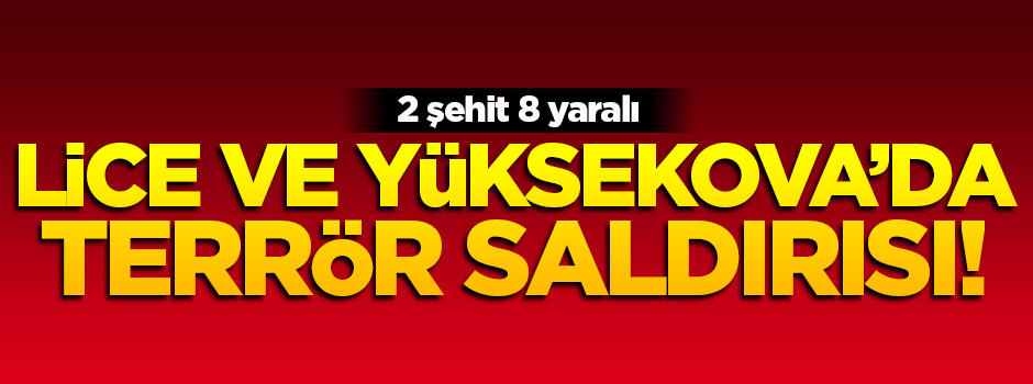Lice ve Yüksekova'da terör saldırısı: 2 şehit 8 asker yaralı