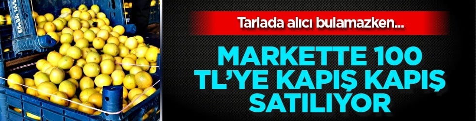 Limon 5 TL’ye alıcı bulamıyor: Markette 100 TL’ye kapış kapış satılıyor... Fiyatı tartışma konusu oldu