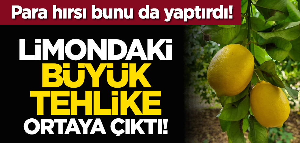 Limondaki büyük tehlike ortaya çıktı! Para hırsı bunu da yaptırdı!