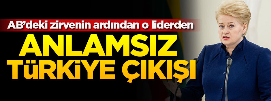 Litvanya'dan anlamsız Türkiye çıkışı!