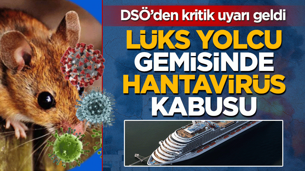 Lüks yolcu gemisinde hantavirüs kabusu: 3 ölü! DSÖ’den kritik uyarı geldi
