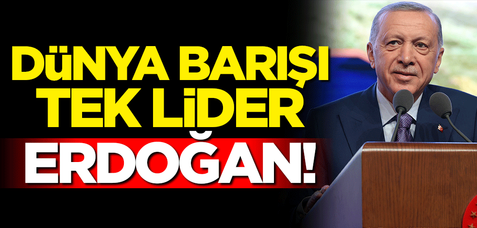 Lviv'de tarihi gün! Dünya barışı için tek lider Erdoğan