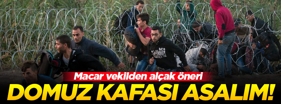 Macar vekilden 'domuz kafası' önerisi geldi