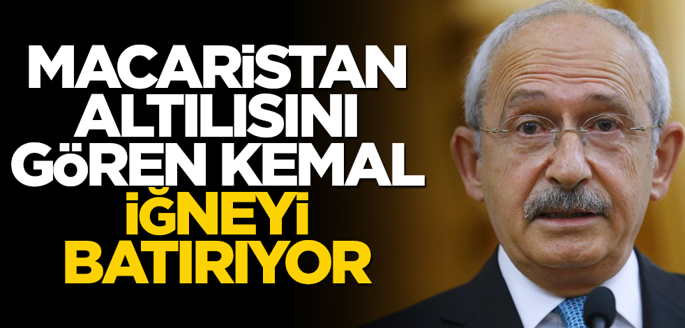 Macaristan altılısını gören Kemal, iğneyi batırıyor