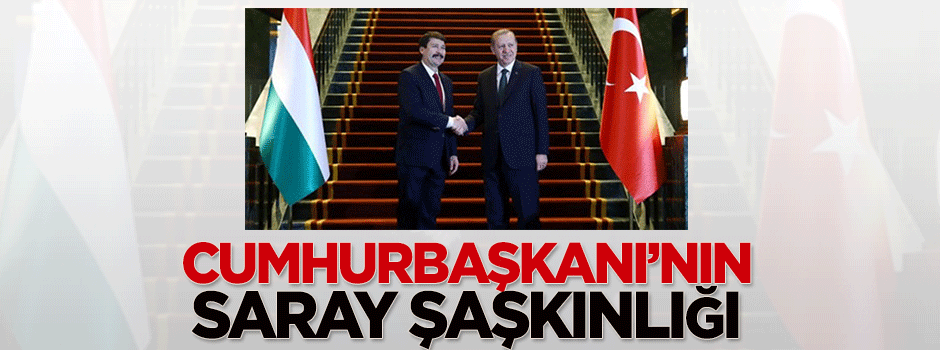 Macaristan Cumhurbaşkanı'nın Saray şaşkınlığı