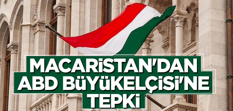 Macaristan'dan ABD Büyükelçisi'ne tepki