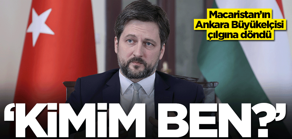 Macaristan'ın Ankara Büyükelçisi çılgına döndü: Kimim ben?