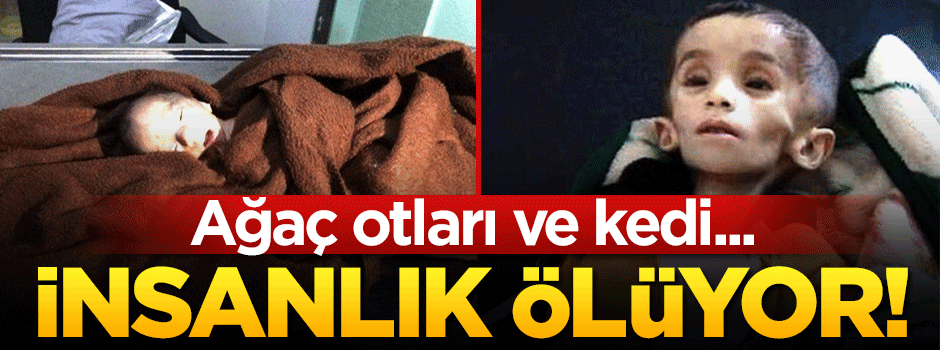 Madaya açlıktan kırılıyor!