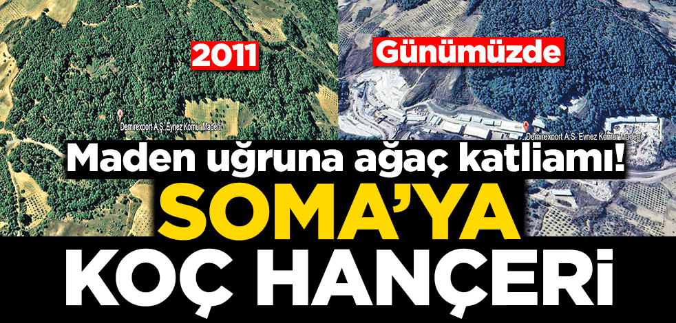 Maden uğruna ağaç katliamı! Soma’ya KOÇ hançeri