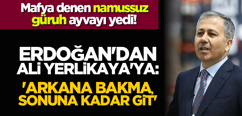 Mafya denen namussuz güruh ayvayı yedi! Cumhurbaşkanı Erdoğan'dan Ali Yerlikaya'ya: 'Arkana bakma, sonuna kadar git'