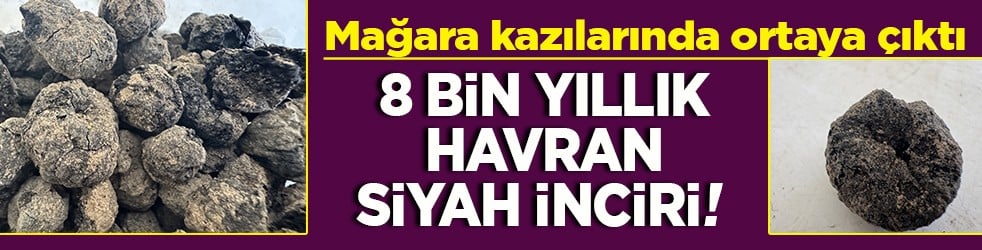 Mağara kazılarında ortaya çıktı 8 bin yıllık Havran siyah inciri