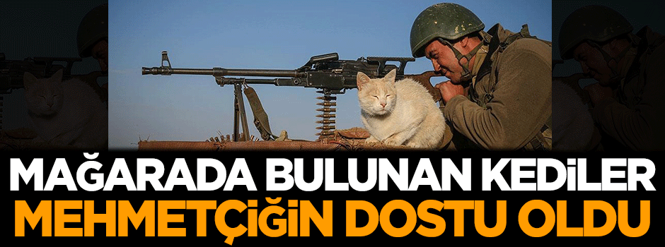 Mağarada bulunan kediler askerimizin dostu oldu
