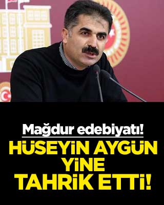 Mağdur edebiyatı! Hüseyin Aygün yine tahrik etti!