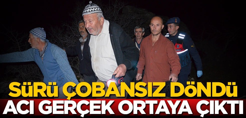 Mahalleli jandarmaya haber verdi! Koyun sürüsü çobansız döndü, acı gerçek kısa süre sonra ortaya çıktı