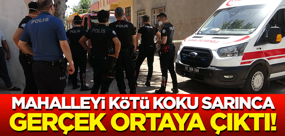 Mahalleyi kötü koku sarınca gerçek ortaya çıktı!