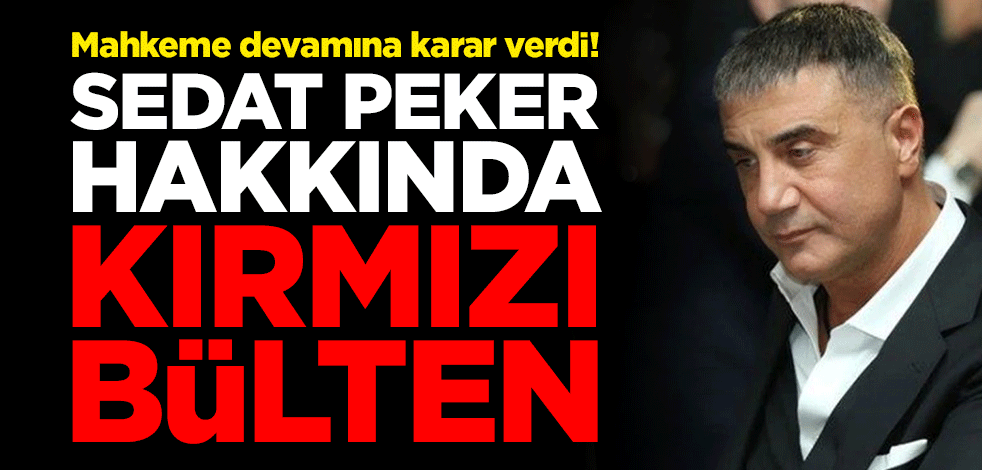 Mahkeme devamına karar verdi! Sedat Peker hakkında kırmızı bülten