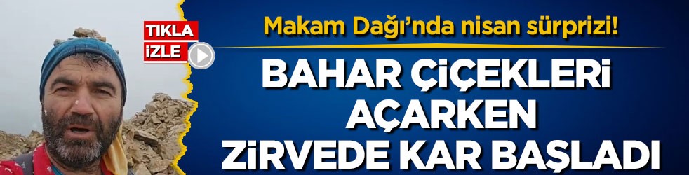 Makam Dağı’nda nisan sürprizi! Bahar çiçekleri açarken zirvede kar başladı