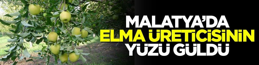 Malatya’da elma üreticisinin yüzü güldü!