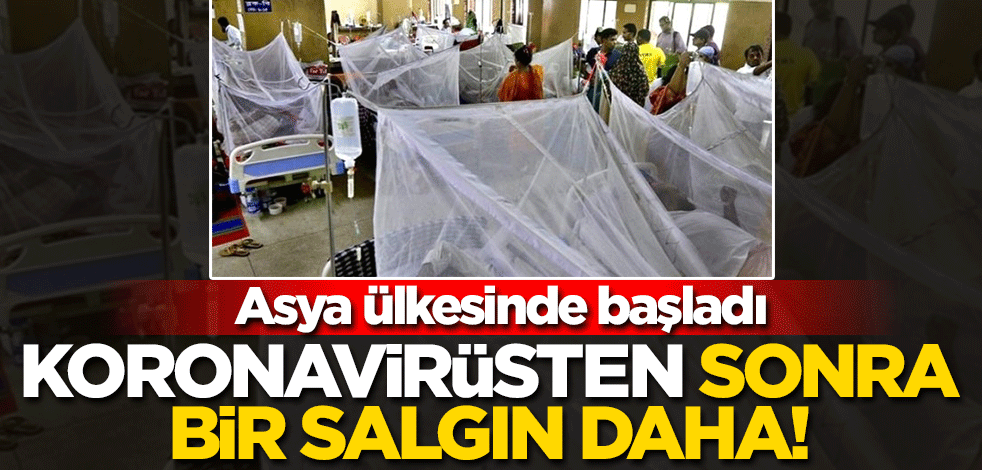 Malezya'da koronavirüsten sonra 'Dang Humması' salgını başladı