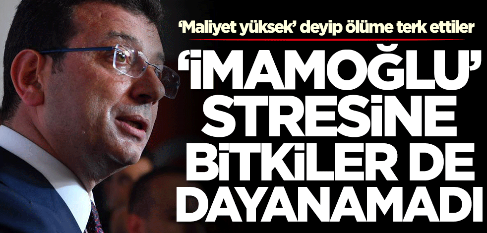 ‘Maliyet yüksek’ deyip ölüme terk ettiler! 'İmamoğlu' stresine bitkiler de dayanamadı