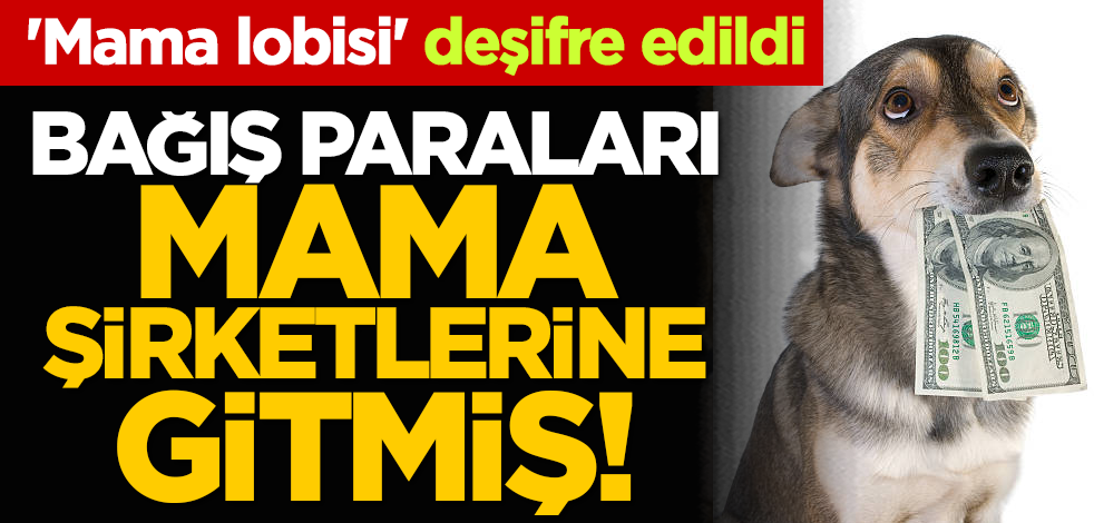 'Mama lobisi' deşifre edildi: Bağış adı altında toplanan paralar mama şirketlerine gitmiş!