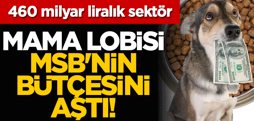 Mama lobisi MSB'nin bütçesini aştı! 460 milyar liralık sektör