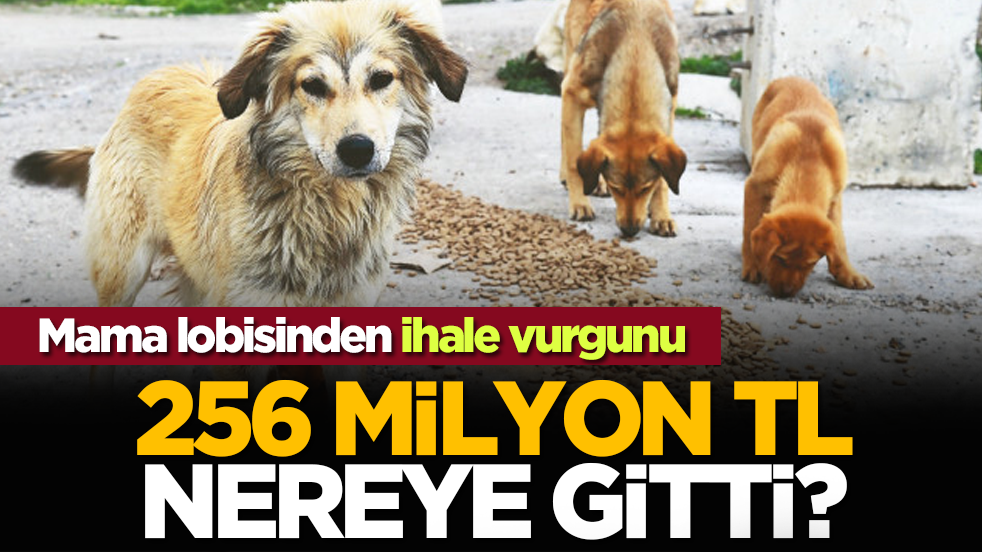 Mama lobisinden ihale vurgunu! 256 milyon TL nereye gitti?