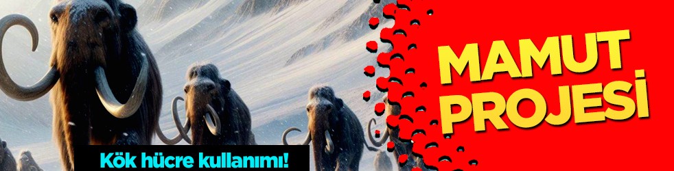 Doğada yok olan hayvanı araştırmacılar geri döndürecek!