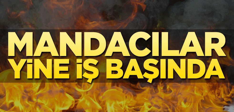 Mandacılar yine işbaşında