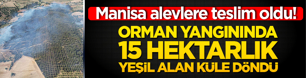 Manisa alevlere teslim oldu! Orman yangınında 15 hektarlık yeşil alan küle döndü!