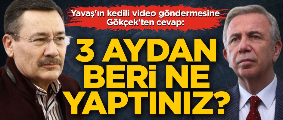 Mansur Yavaş'ın kedili video göndermesine Melih Gökçek'ten cevap: 3 aydan beri ne yaptınız?