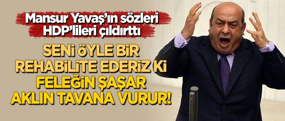 Mansur Yavaş'ın sözleri, HDP'lileri çıldırttı: Feleğin şaşar!