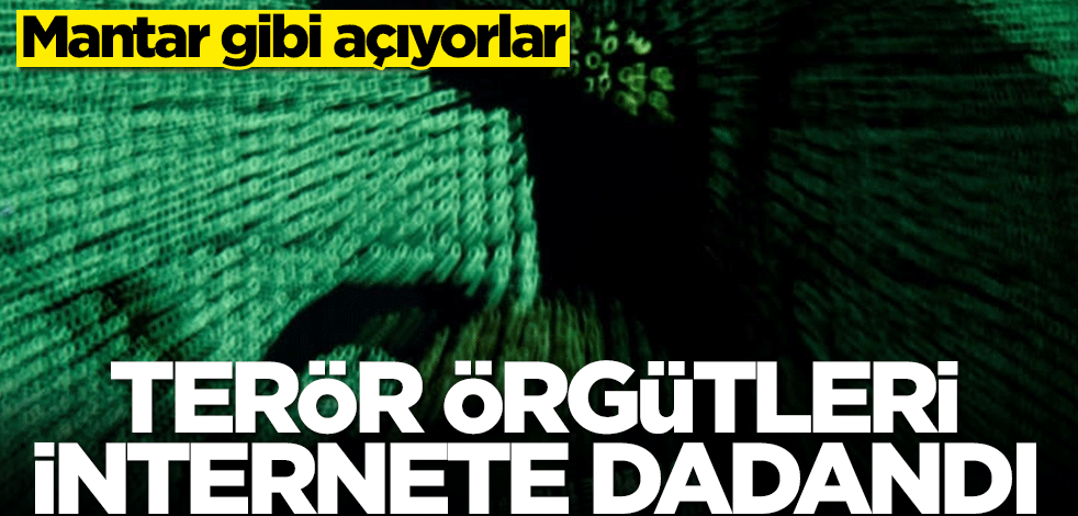 Mantar gibi açıyorlar! Terör örgütleri internete dadandı