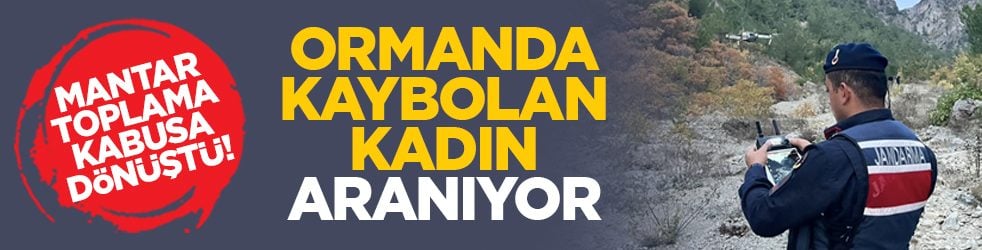 Mantar toplama kabusa dönüştü! Ormanda kaybolan kadın aranıyor