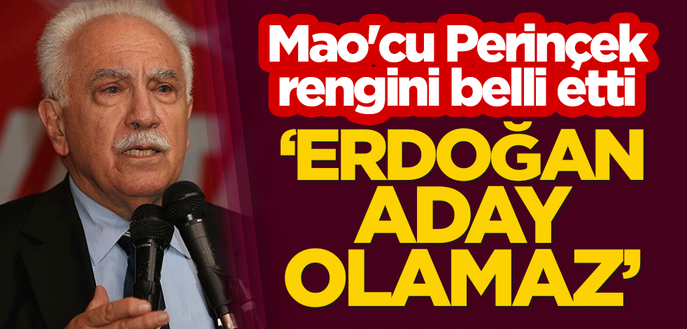 Mao'cu Perinçek rengini belli etti: Erdoğan aday olamaz