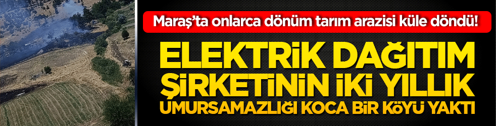 Maraş’ta onlarca dönüm tarım arazisi küle döndü! Elektrik dağıtım şirketinin iki yıllık umursamazlığı koca bir köyü yaktı!