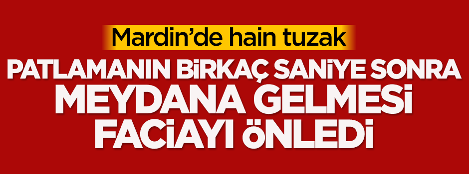 Mardin'de hain tuzak